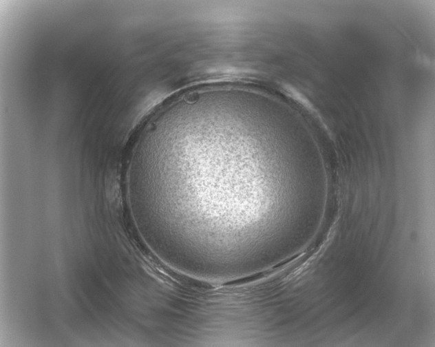 X0000063531259200601231532