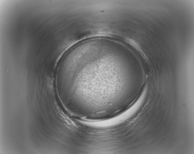 X0000063531260200601231532