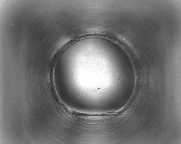 X0000063531261200601231532