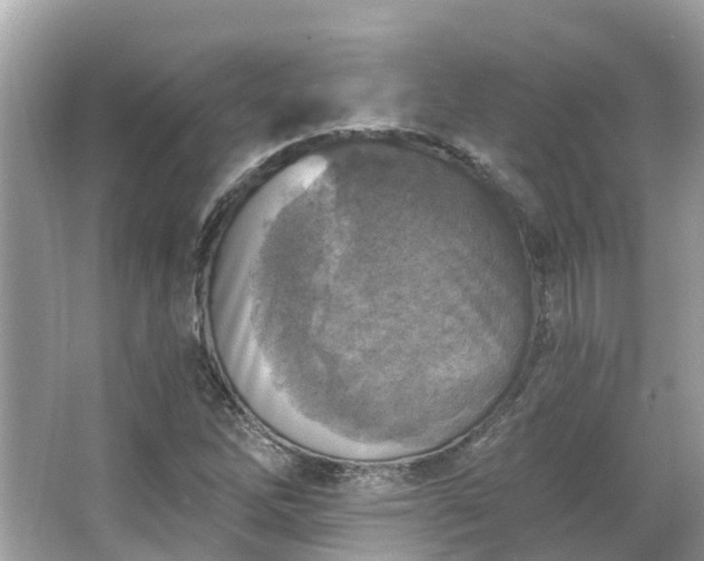 X0000063531262200601231532