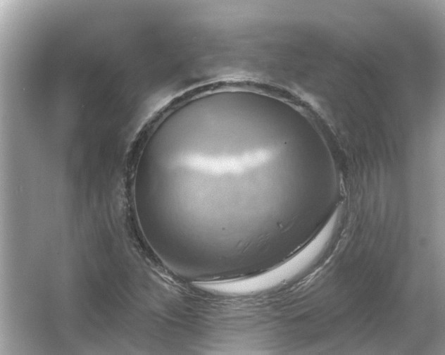 X0000063531263200601231532