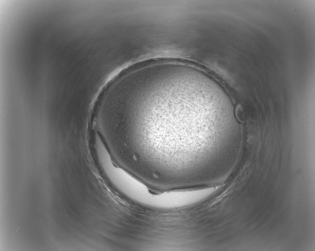 X0000063531264200601231532