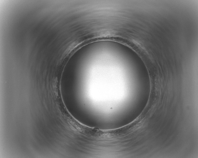 X0000063531265200601231532