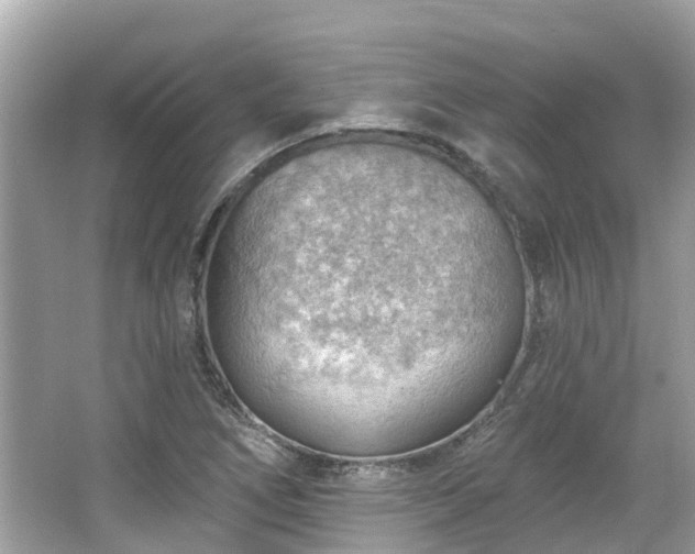 X0000063531266200601231532