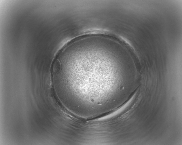 X0000063531267200601231532