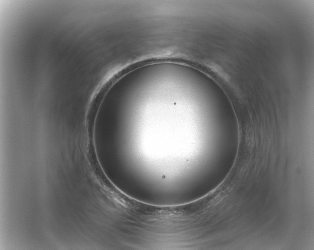 X0000063531270200601231532