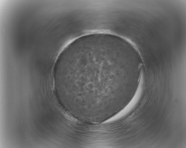 X0000063531271200601231532