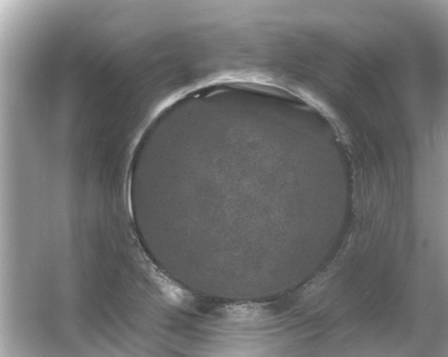 X0000063531272200601231532