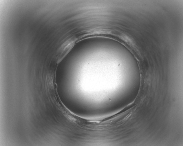 X0000063531273200601231532