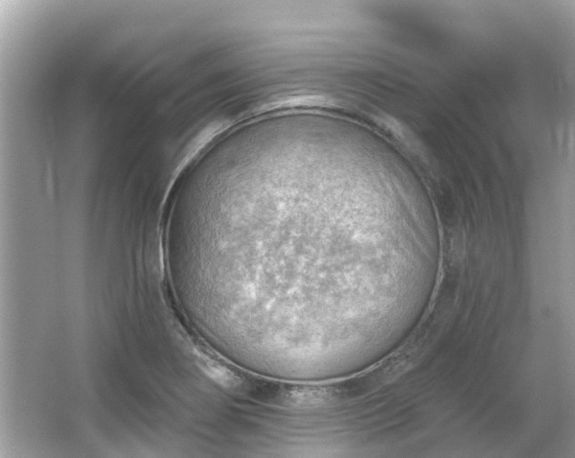 X0000063531274200601231532