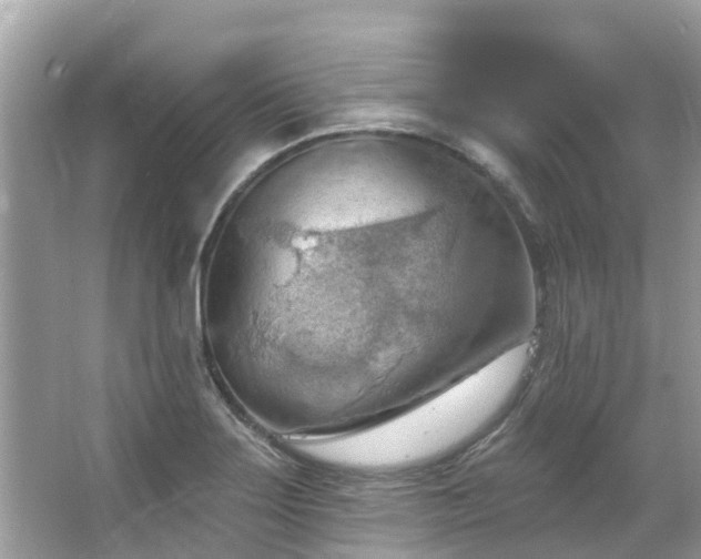 X0000063531275200601231532