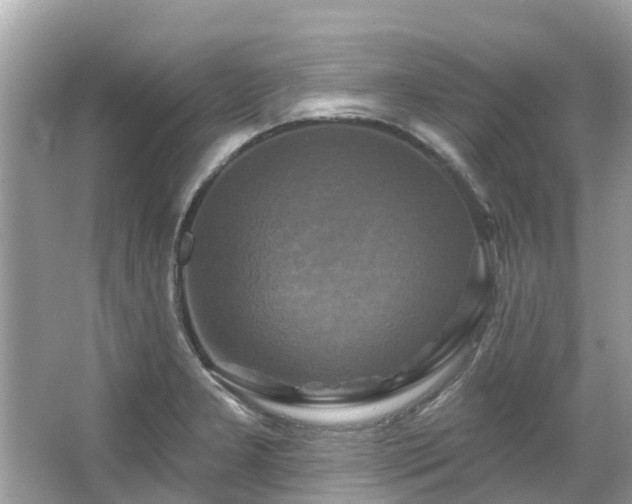 X0000063531277200601231532