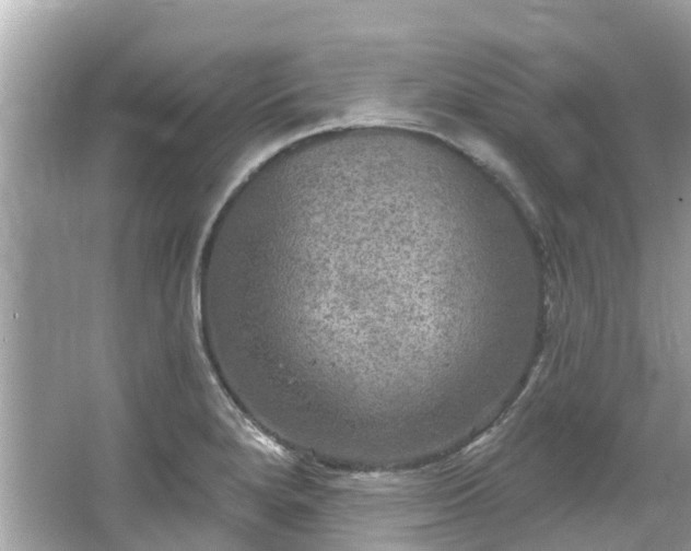 X0000063531280200601231532