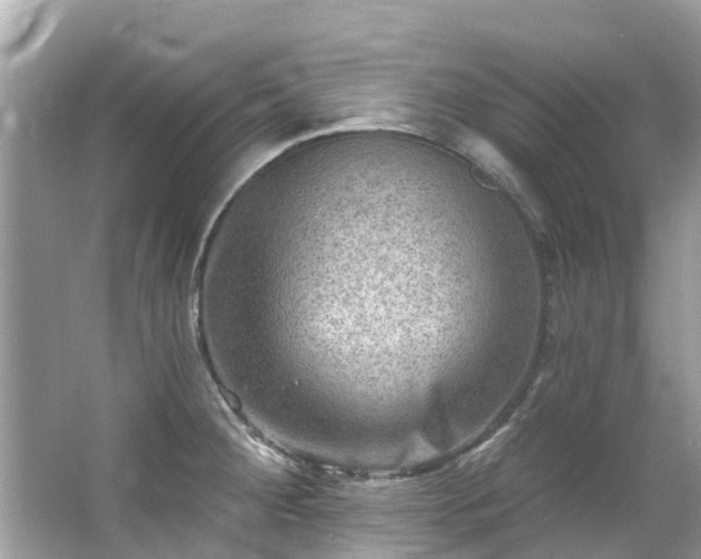 X0000063531284200601231532