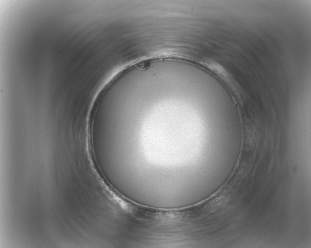 X0000063531286200601231532