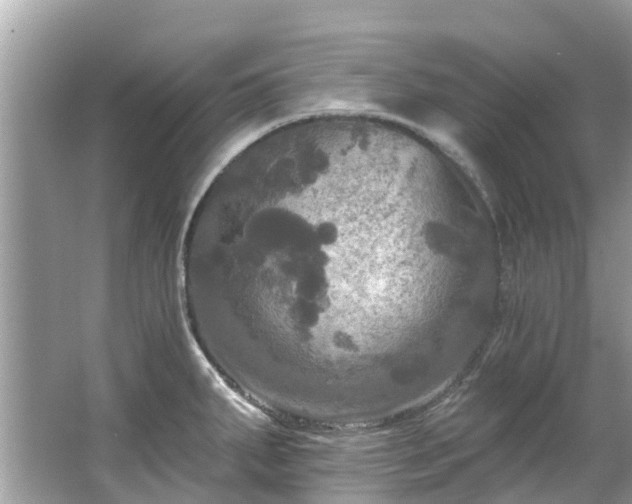 X0000063531287200601231532