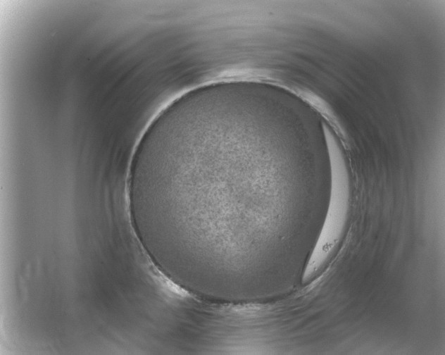 X0000063531288200601231532