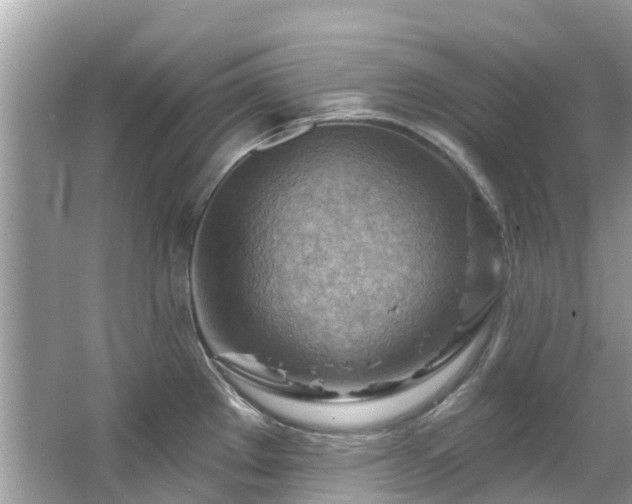 X0000063531289200601231532