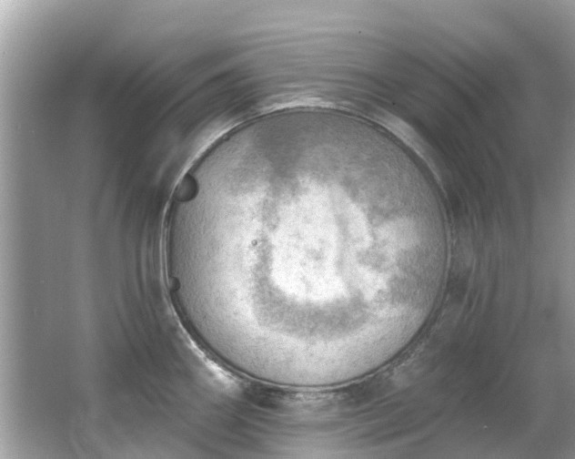 X0000063531290200601231532