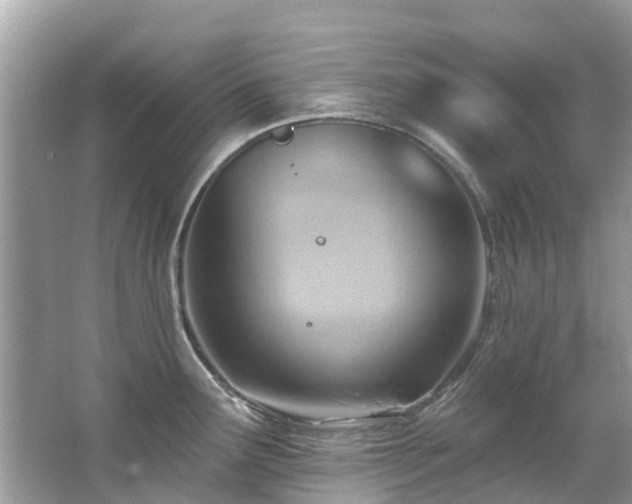 X0000063531291200601231532