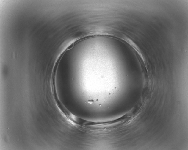 X0000063531293200601231532