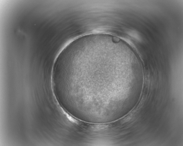 X0000063531294200601231532