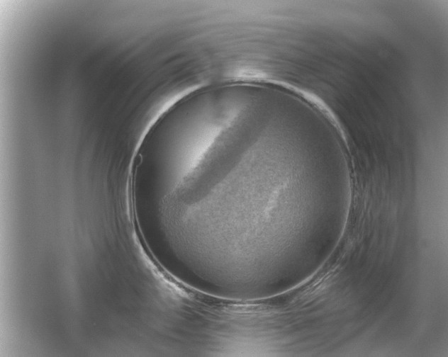 X0000063531295200601231532