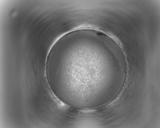 X0000063531296200601231532