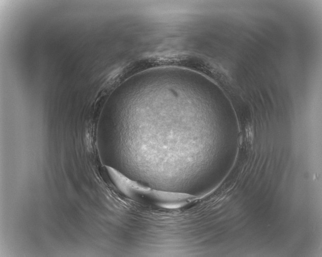 X0000063531300200601231531