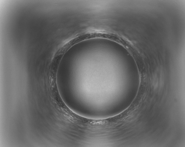 X0000063531303200601231531