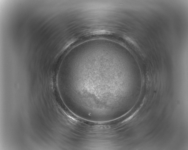 X0000063531305200601231531