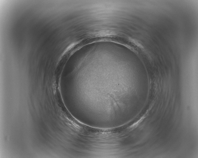 X0000063531306200601231531