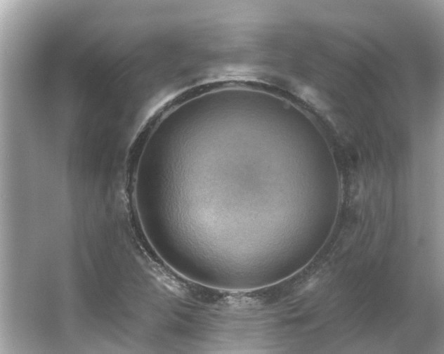 X0000063531312200601231531