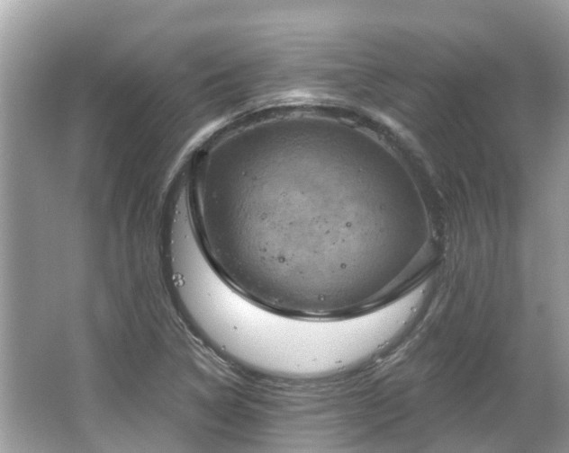 X0000063531314200601231531