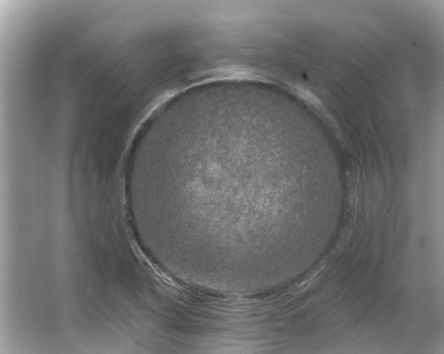 X0000063531318200601231531