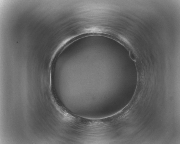 X0000063531323200601231531