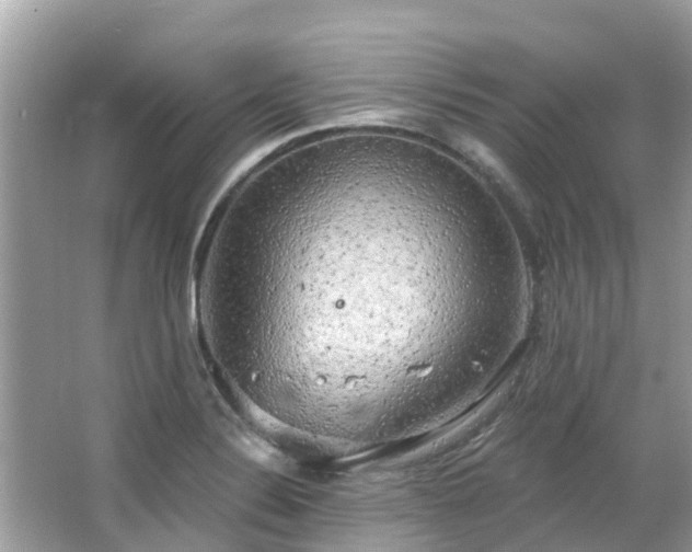 X0000063531324200601231531