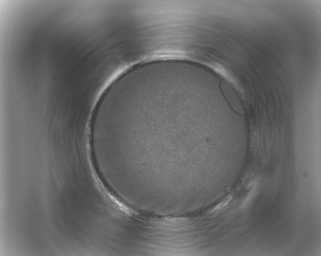 X0000063531325200601231531