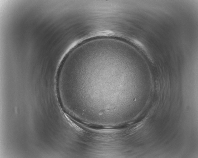 X0000063531326200601231531