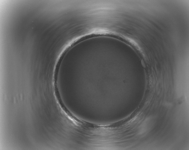 X0000063531327200601231531