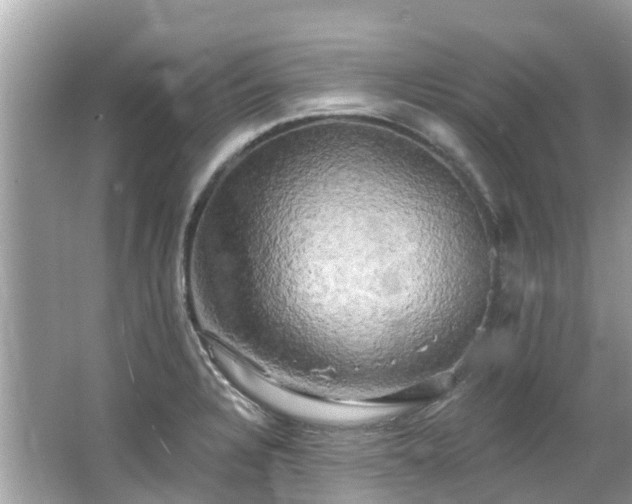 X0000063531328200601231531