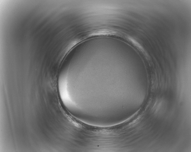 X0000063531329200601231531