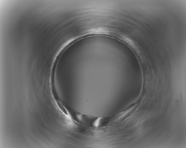 X0000063531331200601231532