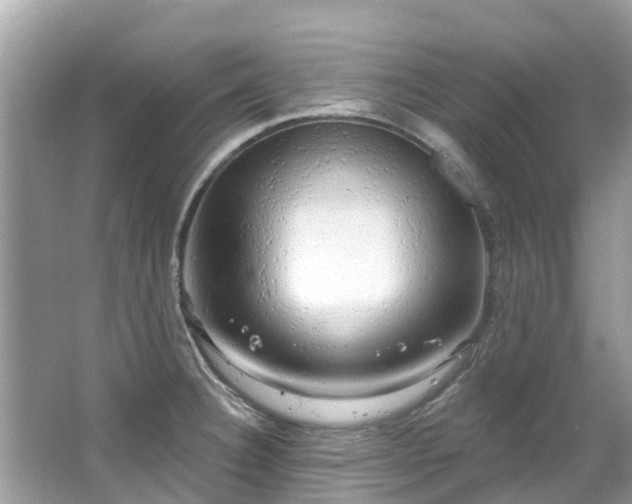 X0000063531332200601231532