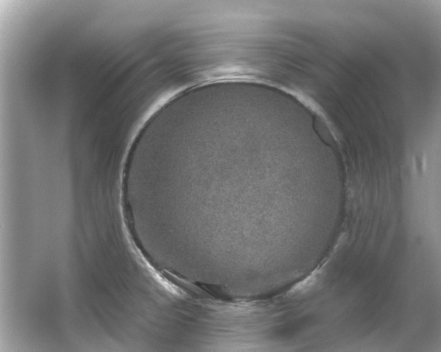 X0000063531333200601231532