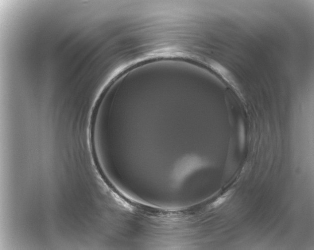 X0000063531334200601231532