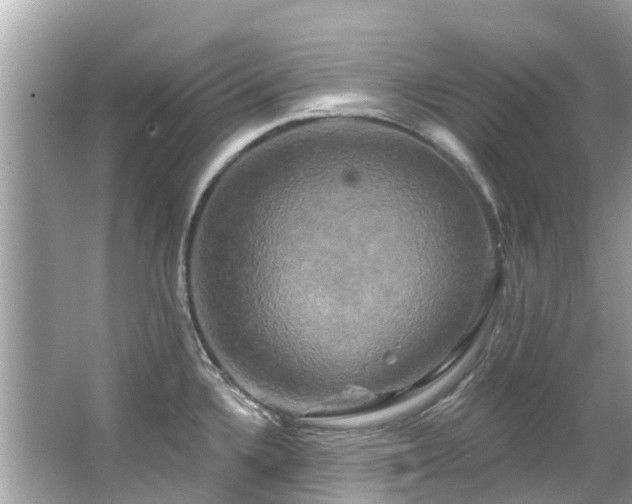 X0000063531336200601231532