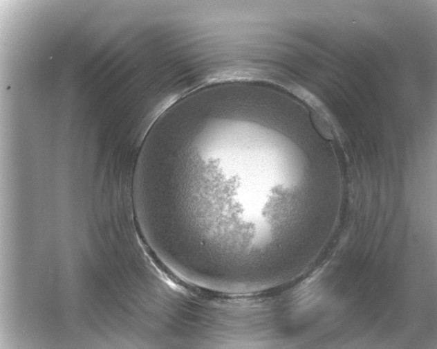 X0000063531337200601231532