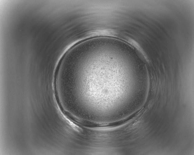 X0000063531339200601231532