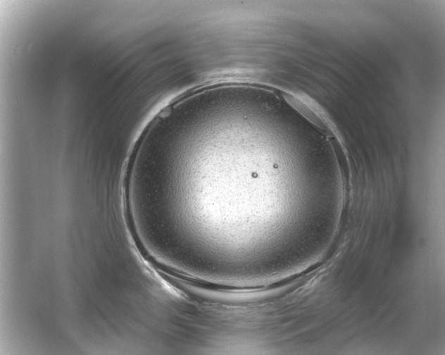 X0000063531341200601231532